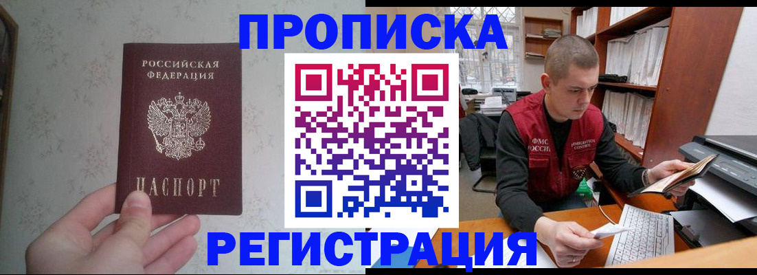 прописка в Новгородской области